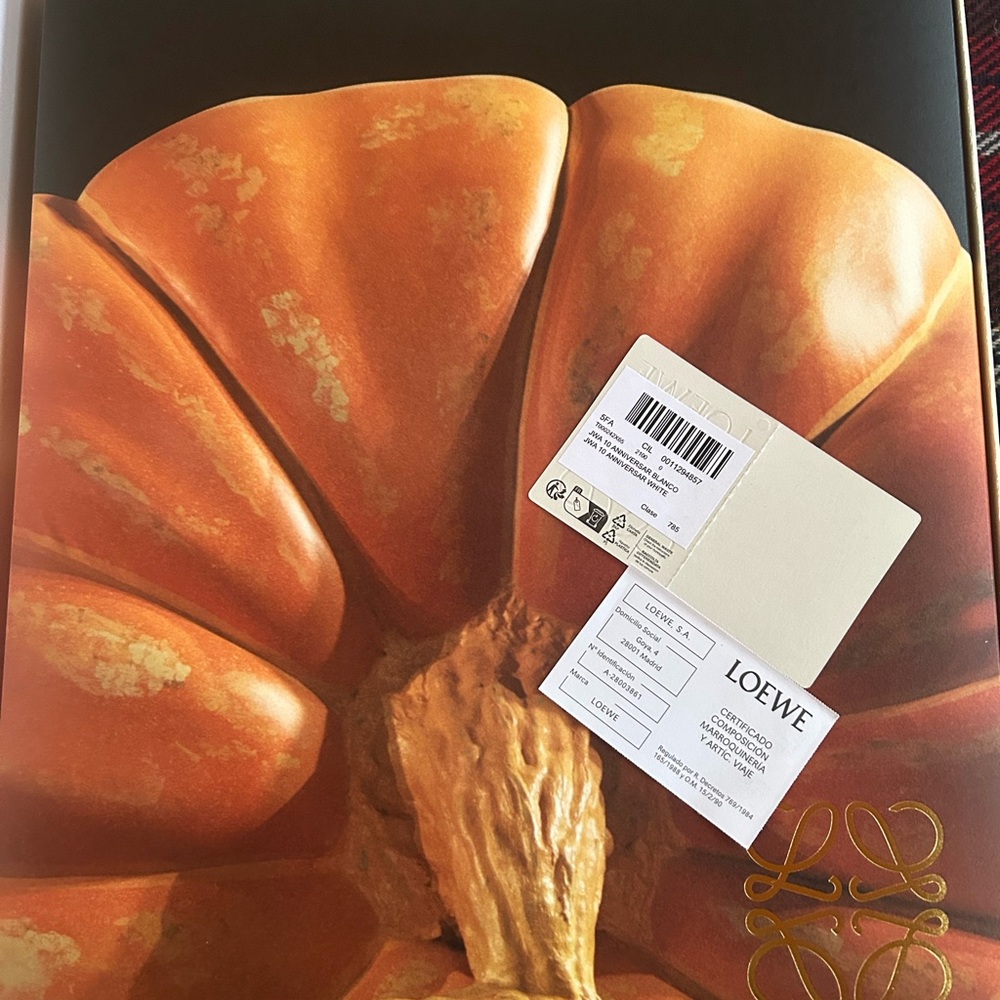 Loewe Orange Pumpkin Art Print
